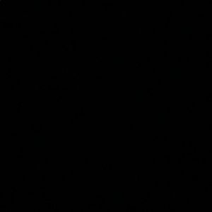 Meet your Posher, Dani